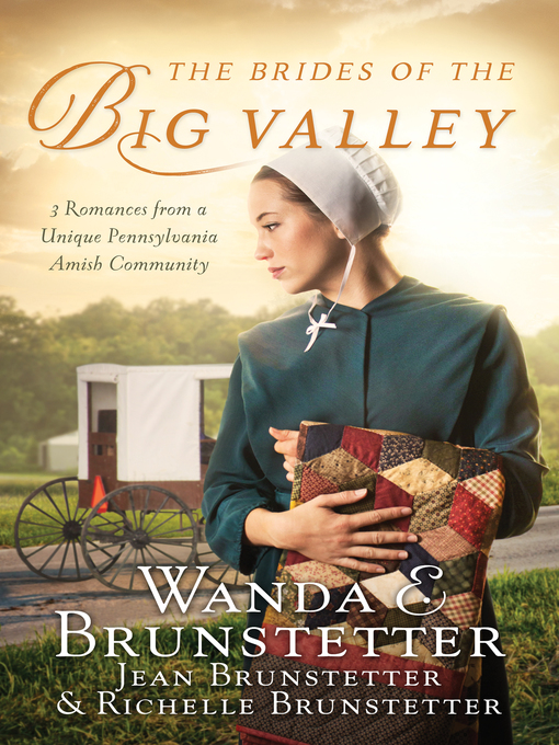 Title details for The Brides of the Big Valley by Wanda E. Brunstetter - Available